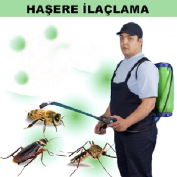 Pınarhisar Böcek İlaçlama